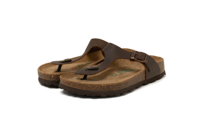 Neu B 16351