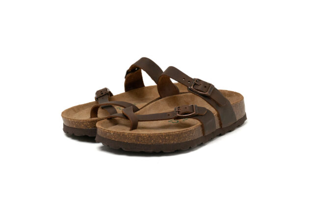 Neu B 16353